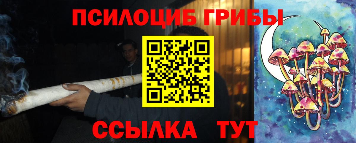 Псилоцибиновые грибы Cubensis Нижний Тагил